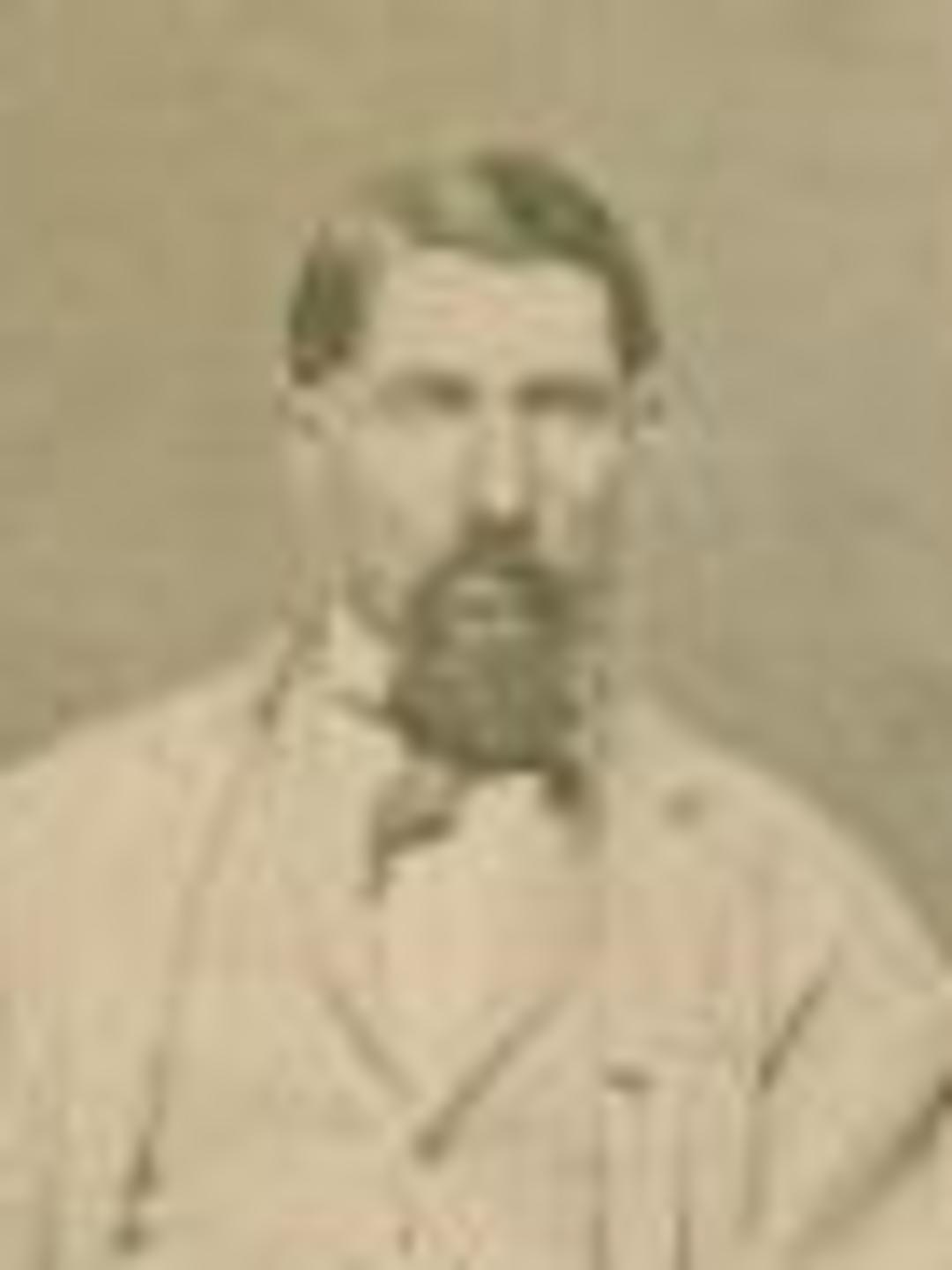 David Patterson Cook (1831 - 1893) Profile